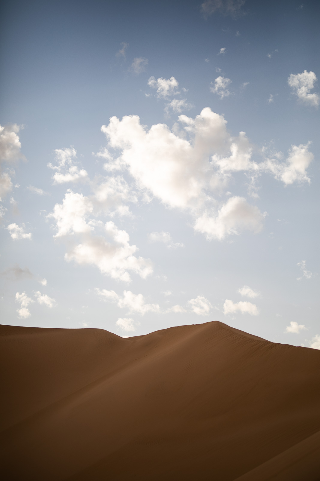 Human & Nature  outoftime 135